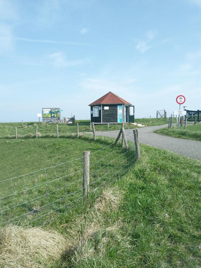 维斯可可Zeeuwse Zot住宿加早餐旅馆 外观 照片
